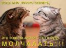 Роман Авдієнко фотография #2 (источник - https://vk.com/id161638394)