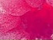 Анюта Тен фотография #13 (источник - https://vk.com/id2913362)