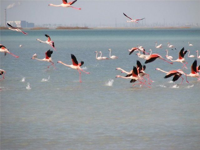 Дмитрий Журавлев фотография #48