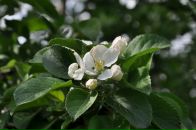 Фотография Крюковой Наталии