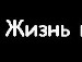 Мусічка Долматова фотография #37 (источник - https://vk.com/id132856464)