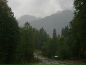 Николай Лещенко фотография #47 (источник - https://vk.com/id248869)