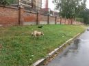 Вадім Щур фотография #34 (источник - https://vk.com/id60514931)