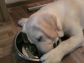 Фотография Екимовского Алексея