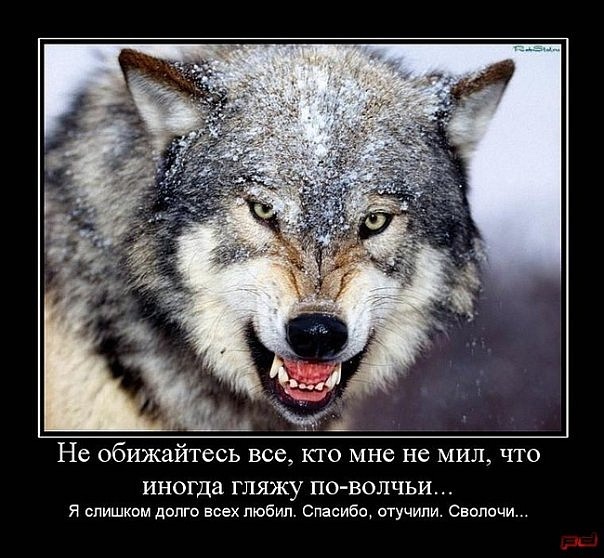 №13, Иван Валынкин, Петрозаводск, Россия №13, Иван Валынкин, Петрозаводск, Россия