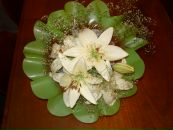 Фотография Егоровой Софии