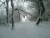 Іштван Сюч фотография #39 (источник - https://vk.com/id33309332)