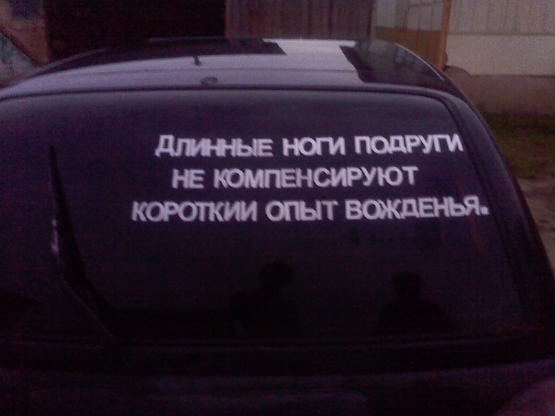 Александр Дмитриев фотография #15