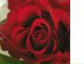 Віра Ковальська фотография #7 (источник - https://vk.com/id60511710)