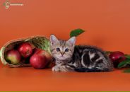 Фотография Колесовой Юлии