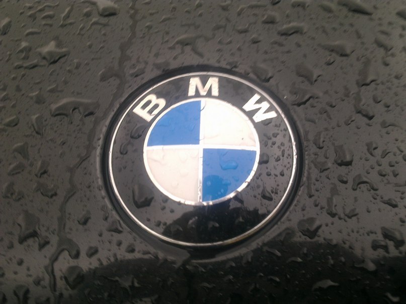 Дмитрий Ковалёв фотография #32