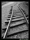 Фотография Королевой Алёны