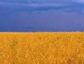 Міша Литвин фотография #10 (источник - https://vk.com/id34081882)