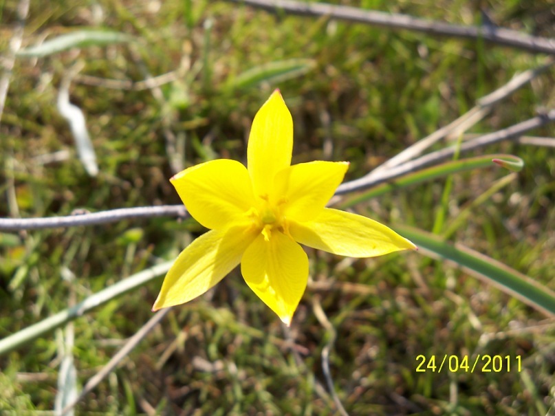 Анатолий Скороход фотография #23