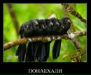 Игорь Темник фотография #8 (источник - https://vk.com/id96615668)