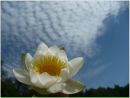 Фотография Рыковой Екатерины