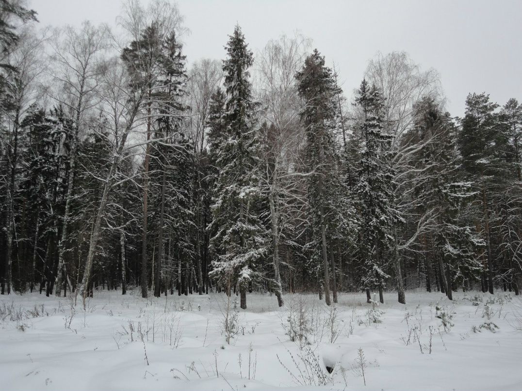 Сергей Храмков фотография #43