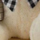 Ірина Швець фотография #17 (источник - https://vk.com/id146166672)