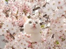 Фотография Алёшиной Алёны