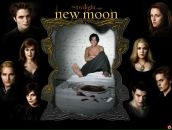 Дмитрий Бикбаев фотография #35 (источник - https://vk.com/id98624319)