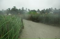 Павел Филиппенков фотография #18 (источник - https://vk.com/id2524484)