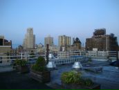 Борис Сучков фотография #1