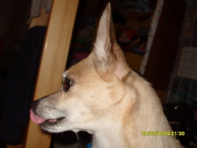 @gent @gent фотография #30