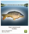 Віктор Павлюк фотография #47 (источник - https://vk.com/id159639917)