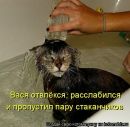 Світлана Блашко фотография #21 (источник - https://vk.com/id50099462)