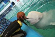 Фотография Бетановой Алисы