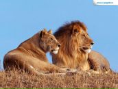 Фотография Родичевой Риммы