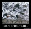 Сергій Жила фотография #7 (источник - https://vk.com/id9321222)