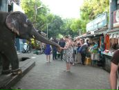 Фотография Путинцевой Екатерины