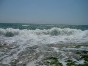 Віталій Сидоренко фотография #11 (источник - https://vk.com/id67024607)