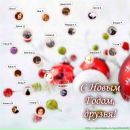 Анюсік Кохан фотография #5 (источник - https://vk.com/id124302421)