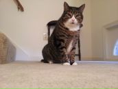 Andre Laskey фотография #33 (источник - https://vk.com/id3967924)