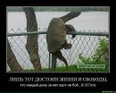 Юрій Балюк фотография #32 (источник - https://vk.com/id15811016)