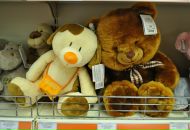 Фотография Степушина Олега