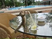 Фотография Ашмариной Юльки