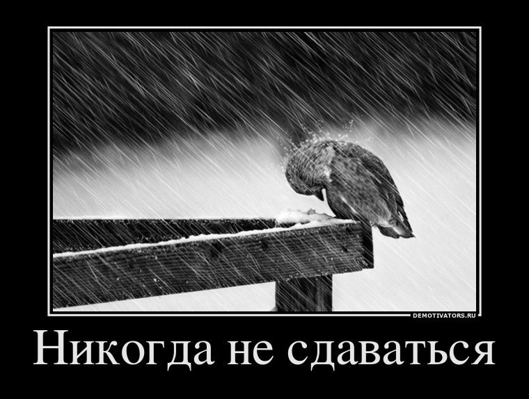 Антон Левченко фотография #32