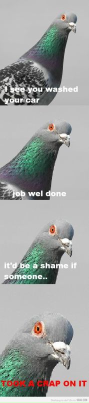 Андрей Разбаш фотография #11