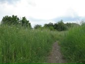 Ростислав Ткаченко фотография #27 (источник - https://vk.com/id6039788)