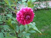 Фотография Смирновой Яны