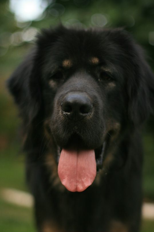 Slash Dot фотография #47