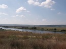 Діміч Пасічник фотография #42 (источник - https://vk.com/id78207810)