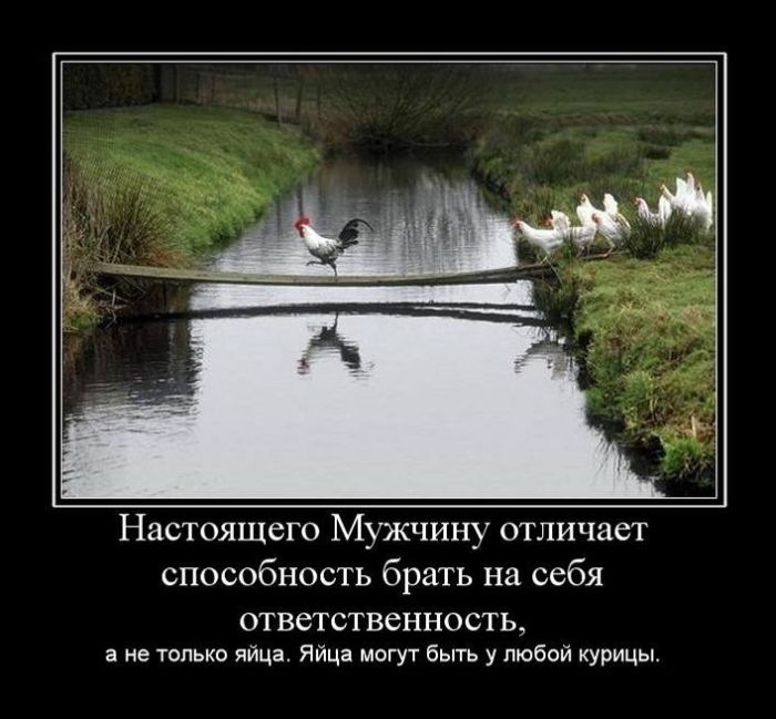 Дмитрий Рылов фотография #38