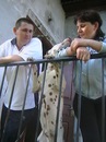Ірина Николюк-лобур фотография #7 (источник - https://vk.com/id148413350)