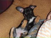 Фотография Диксанова Андрея