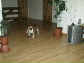 Евгений Кабин фотография #15 (источник - https://vk.com/id6736668)