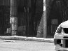 Міша Карповець фотография #15 (источник - https://vk.com/id163731953)